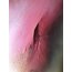 ‘Crimson Dawn’ | 50x80