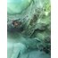 'Race to Genesis’ | 70x100