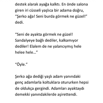 1- Hazal ile Miran Ağa +18 (pdf)