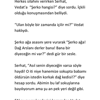 1- Hazal ile Miran Ağa +18 (pdf)