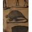 19. Yüzyıl Sorbonne Üniversitesi Paleontoloji Eğitim Tablosu