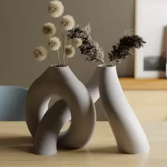Birbirine Geçen Toroidal Vazolar