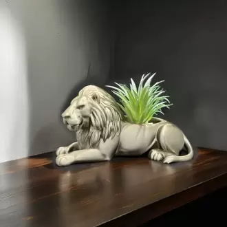 Aslan Saksı - Botanik Şıklığında Bir Dekor