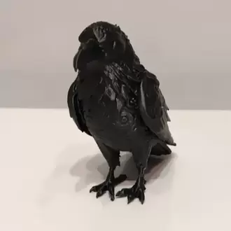 Karga Obje