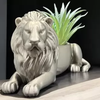 Aslan Saksı - Botanik Şıklığında Bir Dekor