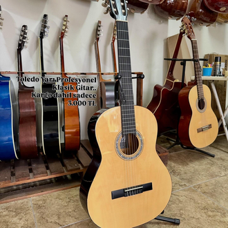 Toledo gitar
