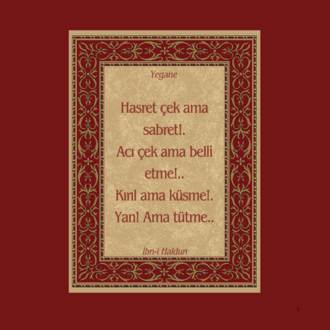 Yegane Dergisi - Sayı: 12 (Bosna-Hersek Özel Sayısı)