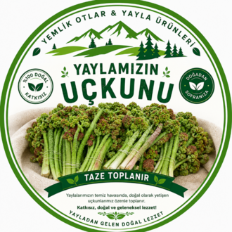 Uçkun - Yaylamuzu