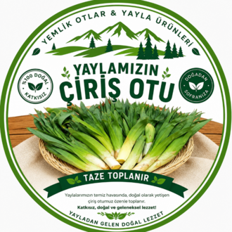 Çiriş Otu Taze 1 kg