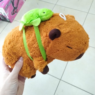 KAPİBERA CAPYBARA
