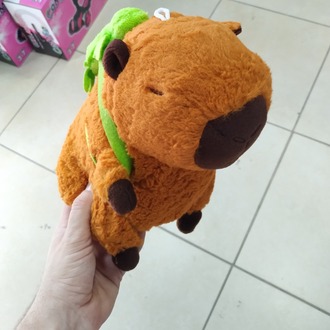 KAPİBERA CAPYBARA