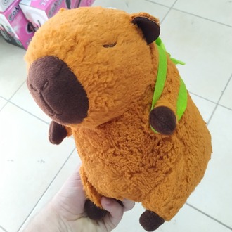 KAPİBERA CAPYBARA