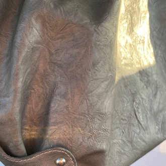 silverwing hand bag