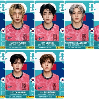 Stray Kids FIFA KOREA Kart Seti