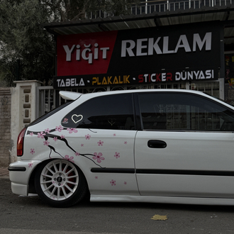 Sakura ağacı Sticker