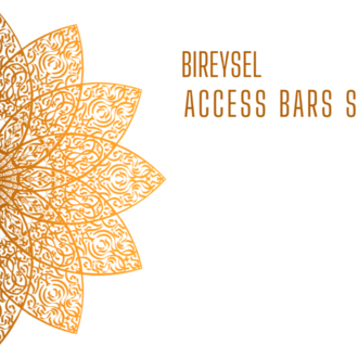 ACCESS BARS