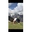Online Sivananda Yoga Dersleri | Aylık Paket (4 Ders)