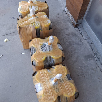 ERBAA YAPRAĞI 4 LÜ KOLİ