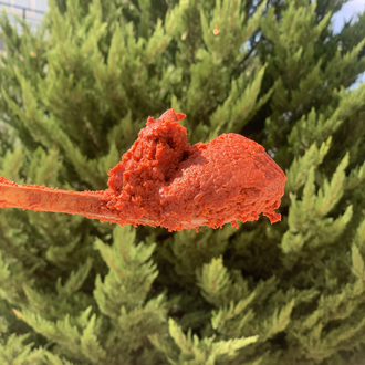 Hatay salçası BİBER TATLI VEYA ACI 5 KG