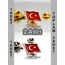 2 Adet Türk Bayrağı Gold&Gümüş Yaka Rozeti