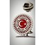Türkiye Büyük Millet Meclisi Yaka Rozeti