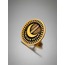 Yeniden Refah Partisi Yaka Rozeti