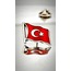 10 Adet Türk Bayrağı Gümüş Yaka Rozeti 3D(3 Boyutlu Dalgalı)