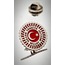 Türkiye Büyük Millet Meclisi Yaka Rozeti
