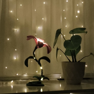 Zambak Gece Lambası Pembe 