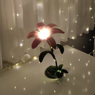 Zambak Gece Lambası Pembe 