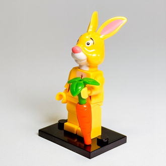 Rabbit - Winnie the Pooh