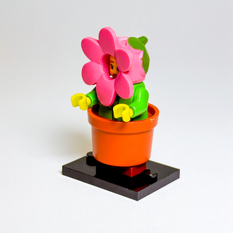 Flowerpot Girl