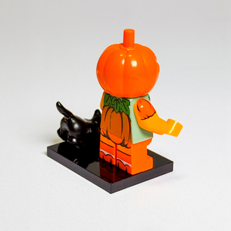 Jack Lanterns - Halloween