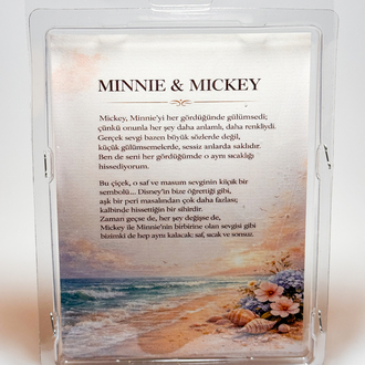 Minnie & Mickey - Premium Flowers