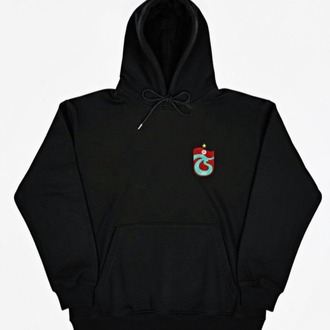 ts logo takım hoodie