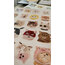 cat fam print