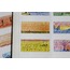 Sketch Sticker (2 sayfa, 45 Adet)