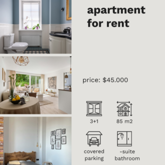 apartment for rent