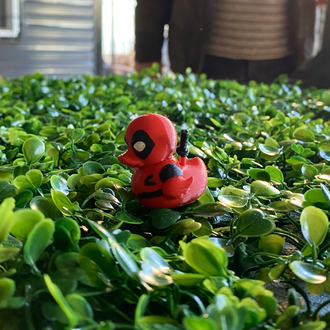 Deadpool Ördek ve Yavruları Araç İçi Süs / Masa süs 