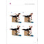 WUNDA CHAIR – Pilates Hareket Rehberi