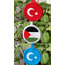 Çift taraflı araba süsü (%25’i bağış)