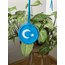 Çift taraflı araba süsü (%25’i bağış)