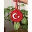 Çift taraflı araba süsü (%25’i bağış)