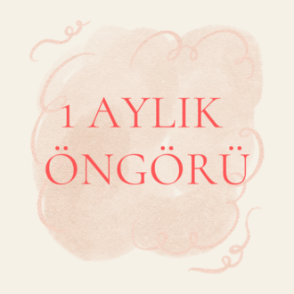 1 Aylık Öngörü 