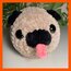 pug
