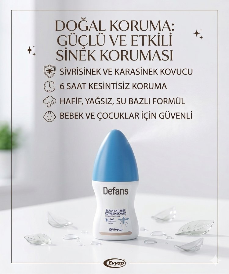 Defans Sinek Kovucu 3lü Set