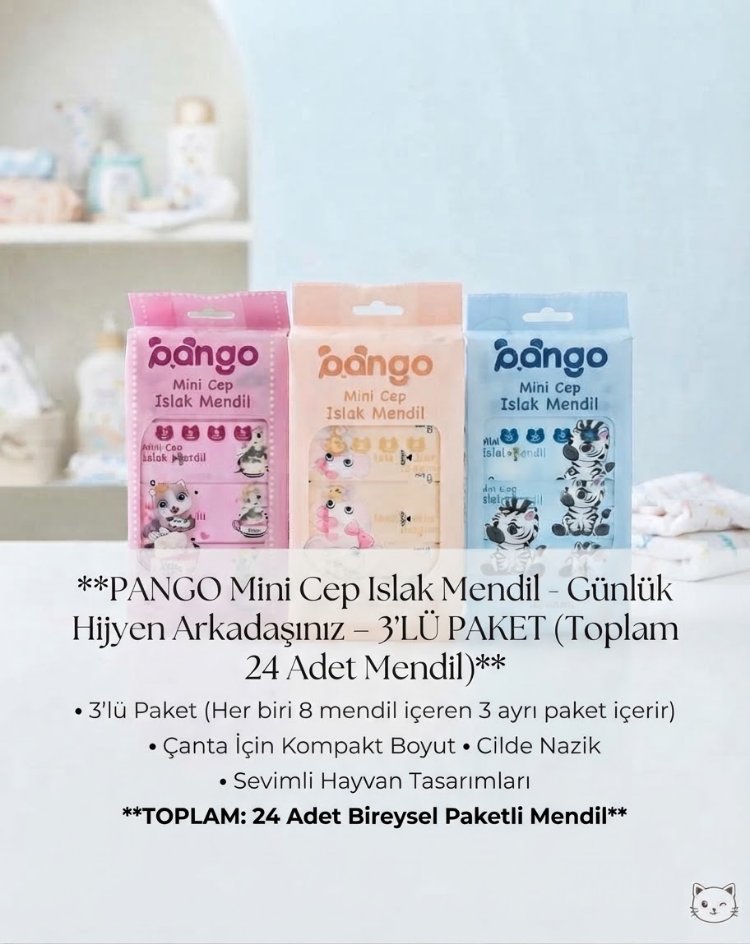 Bango Mini Cep Islak Mendil 3 PAKET 24 adet mendil
