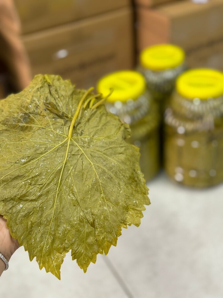 3lük bidonda salamura asma yaprağı