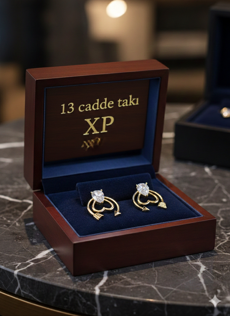 ÇELİK XUPİNG 14K TAŞLI AY MODEL KÜPE