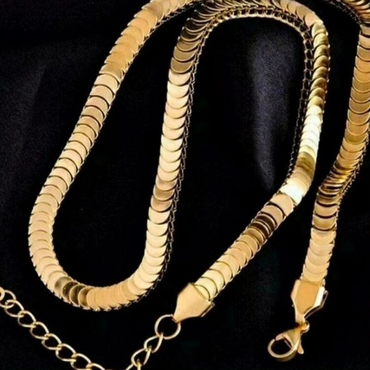 ÇELİK BALIK SIRTI PULLU MODEL KOLYE 